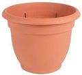 PLANTER TERRA COTTA 8IN       