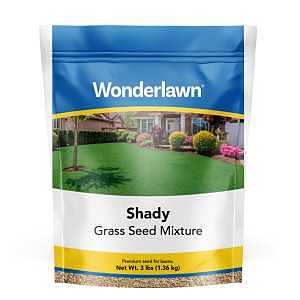 SEED GRASS SHADY LAWN 3LB     