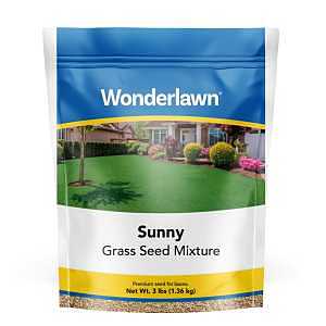 SEED GRASS SUNNY LAWN 3LB     