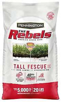SEED REBEL TALL FESCUE MX 20LB