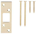 SECURITY STRIK 1-1/4X3-5/8 BRS