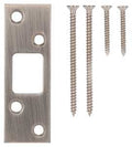 SECURITY STRIK 1-1/4X3-5/8 NIC