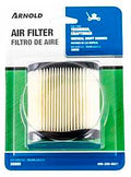 FILTER AIR CNSTRN TECUMSEH    
