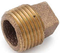PLUG CORED BRASS 3/4 IN       
