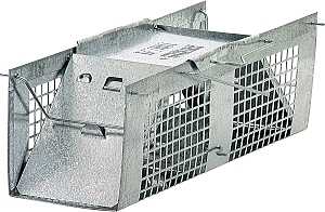 TRAP CAGE  XSMALL 2DR 10X3X3IN