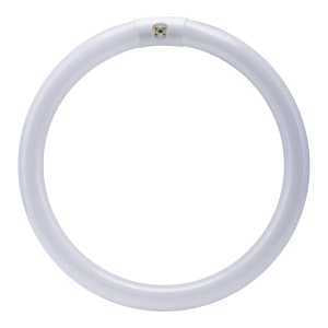 BULB FLUOR CLR 4PN CWHT T9 32W