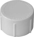 PRESSURE CAP PVC FIP 2        