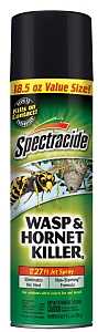 SPRAY WASP/HORNET 18.5OZ      