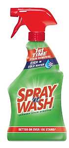 REMOVER STAIN LAUNDRY 22 OZ   
