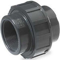 UNION PVC IPS 3/4 IN          
