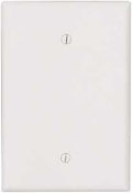 WALL PLATE 1GNG BLANK JUMB WHT