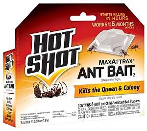 BAIT ANT HOT SHOT             