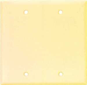 WALL PLATE 2 GANG BLANK STD IV