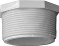 PLUG PVC MIP 2 IN             