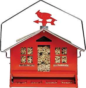 FEEDER SQUIRREL PROOFRED      