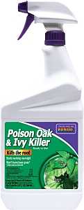 KILLER POISON OAK/IVY RTU QT  