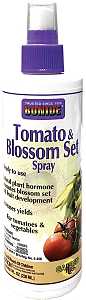TOMATO/BLOSSOM SET 8OZ        