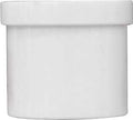 PLUG PVC SPIGOT 2 IN          