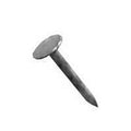 NAIL ROOFING EG 7/8IN 25LB    