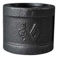 COUPLING BLACK MALLEABLE 1-1/2