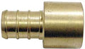ADAPTER PEX 1IN FEMALE SOLDER 