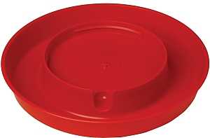 BASE SCREW ON POULTRY         