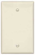 WALLPLATE BLANK LT ALMOND 1G  