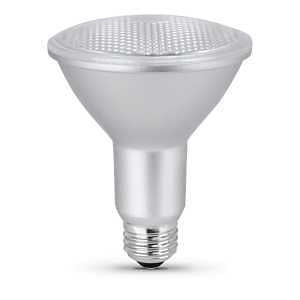 BULB LED 75W PAR30S E26 750L5K