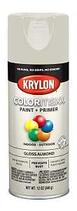 PAINT SPRY GLOSS ALMOND 12OZ  