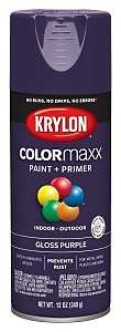 PAINT SPRY GLOSS PURPLE 12OZ  