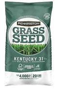 SEED KENTUCKY 31 COATED 20LB  