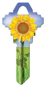 SC1-17 KEYBLANK SUNFLOWER     