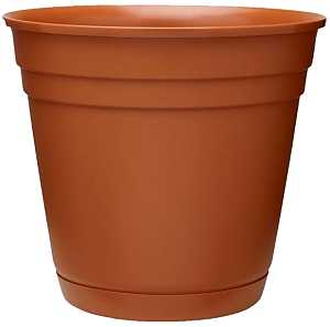 PLANTER/SAUCER TERRA COTTA 6IN