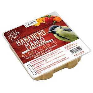 SUET PREM HABANERO MANGO 11.75