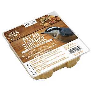 SUET PREM PECAN SRPRSE 11.75OZ