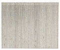 NAIL FNS STRT 16GA 304SS 2-1/2