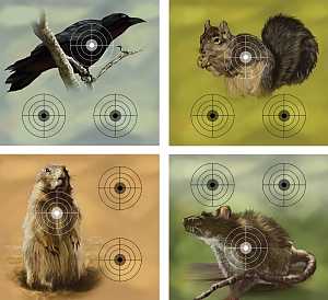 TARGET PAPER VARMINT 9.75X9IN 