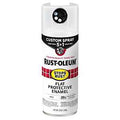 PAINT SPRY 5IN1 FLT WHITE 12OZ