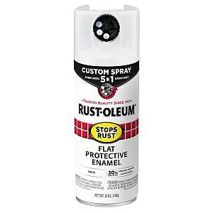 PAINT SPRY 5IN1 FLT WHITE 12OZ