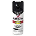 PAINT SPRY 5IN1 SAT BLACK 12OZ