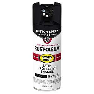 PAINT SPRY 5IN1 SAT BLACK 12OZ