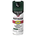 PAINT SPRY 5IN1 SAT HUNGRN12OZ