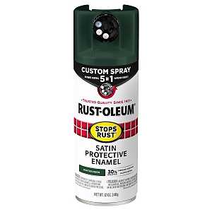 PAINT SPRY 5IN1 SAT HUNGRN12OZ