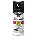PAINT SPRY 5IN1 GLO BLACK 12OZ