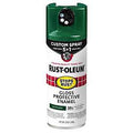 PAINT SPRY 5IN1 GLO HUNGRN12OZ