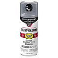 PAINT SPRY 5IN1 GLO SMKGRY12OZ