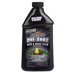 KILLER WEED & GRASS CONC 32OZ 