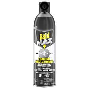 WASP&HRNT KLR FOAM SPRY 16.5OZ