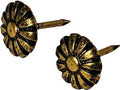 NAIL FURN DAISYHEAD ANT BRASS 