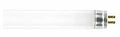 TUBE FLOU T5 COOL WHT 8W 12IN 
